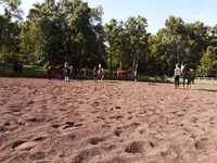 2eme session equifeel
